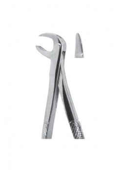Extracting Forceps